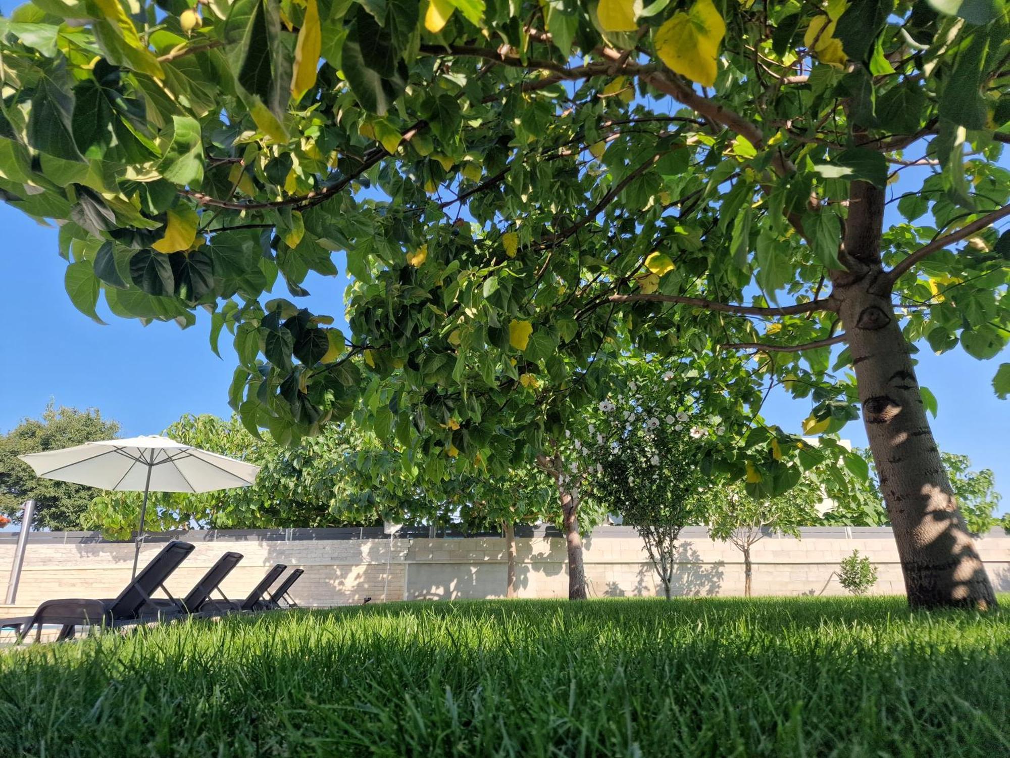 Villa Verbena Mala Cista Dış mekan fotoğraf